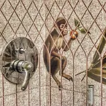 Domus D'angelo Bed & Breakfast Formia